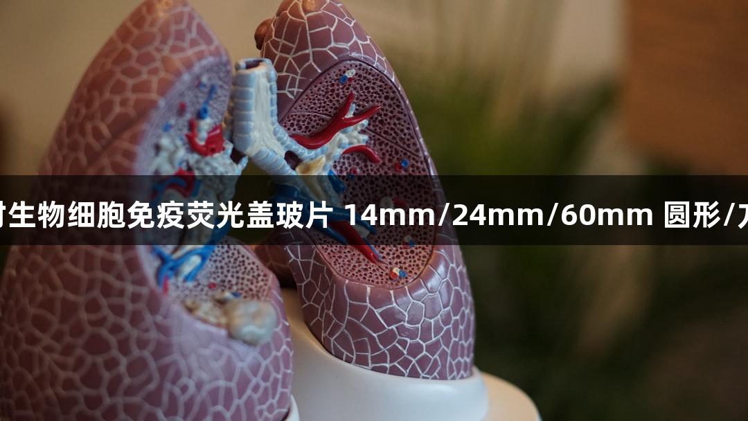 尊龙凯时生物细胞免疫荧光盖玻片 14mm/24mm/60mm 圆形/方形 无菌