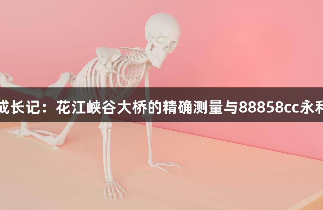 世界第一高桥成长记：花江峡谷大桥的精确测量与88858cc永利官网游戏探索