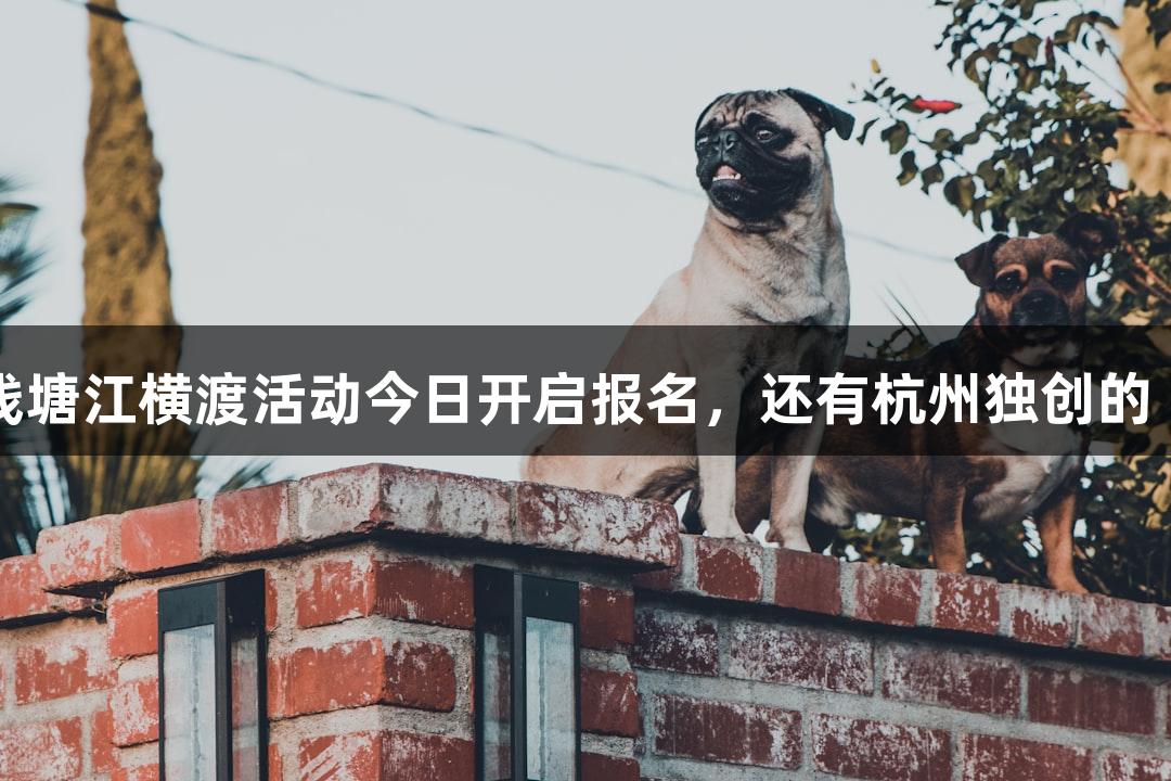 一年一度的KU酷游钱塘江横渡活动今日开启报名，还有杭州独创的“泼水节”等你来玩！