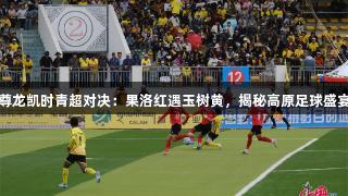 尊龙凯时青超对决：果洛红遇玉树黄，揭秘高原足球盛宴