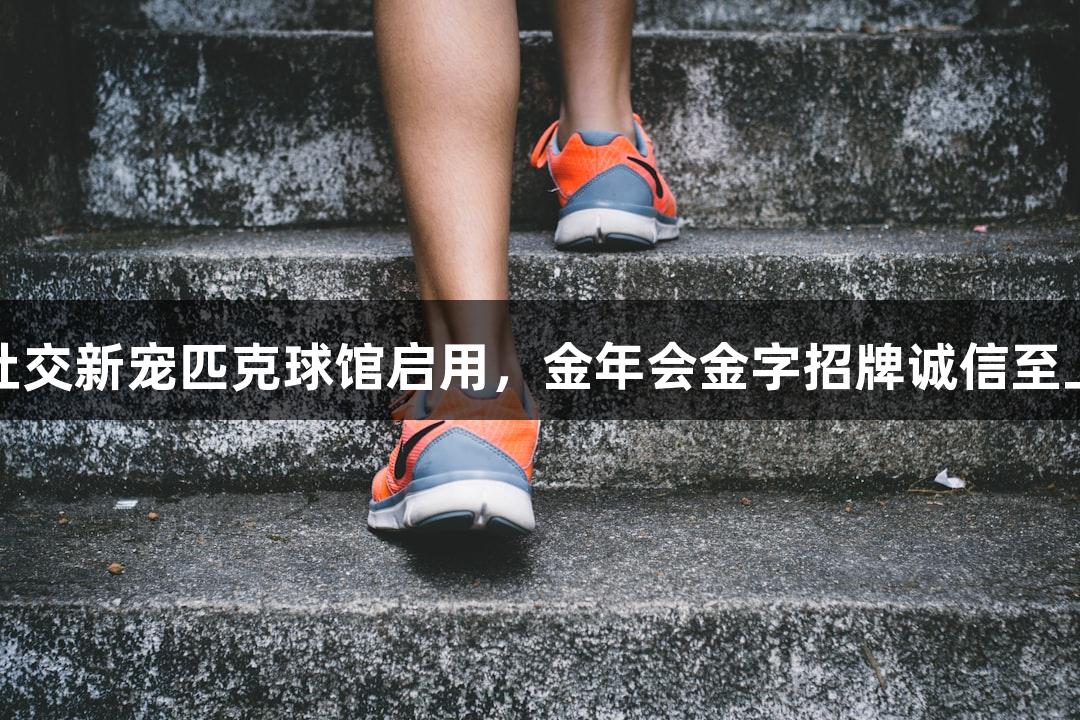 社交新宠匹克球馆启用，金年会金字招牌诚信至上