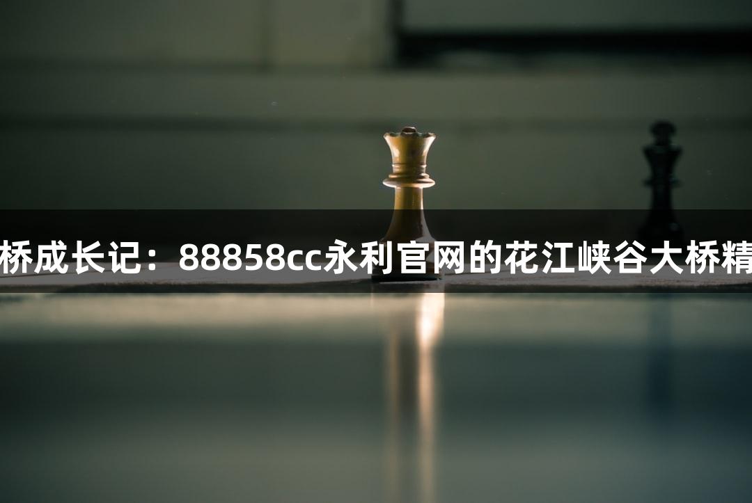 世界第一高桥成长记：88858cc永利官网的花江峡谷大桥精准测量挑战