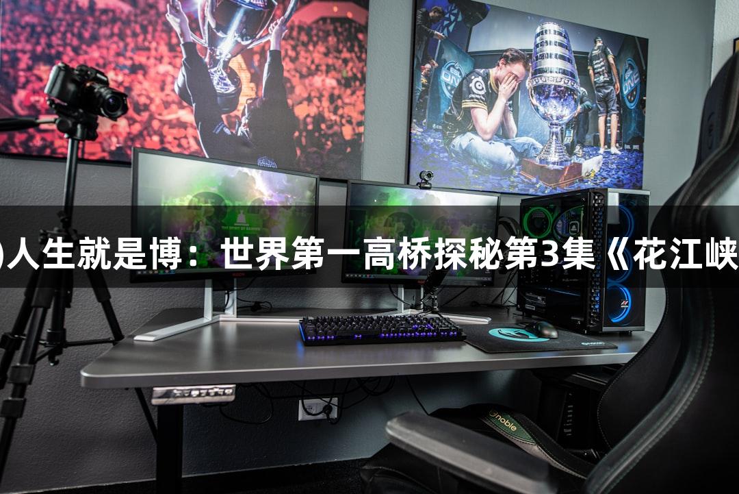 尊龙凯时(中国区)人生就是博：世界第一高桥探秘第3集《花江峡谷大桥精准测量》