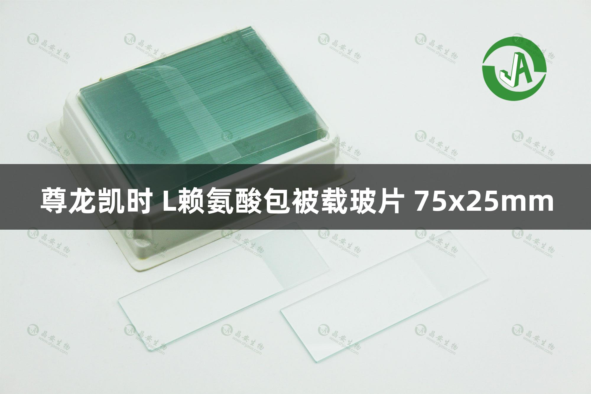 尊龙凯时 L赖氨酸包被载玻片 75x25mm
