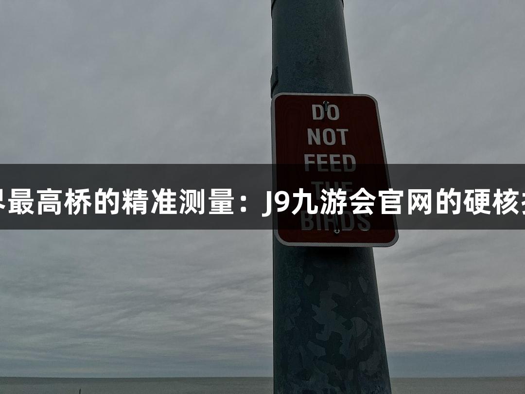 世界最高桥的精准测量：J9九游会官网的硬核挑战