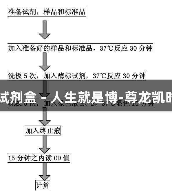 大鼠CXCL5 ELISA试剂盒 - 人生就是博-尊龙凯时品牌助力生物医疗
