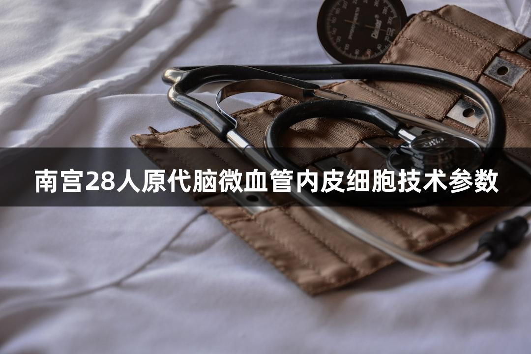 南宫28人原代脑微血管内皮细胞技术参数