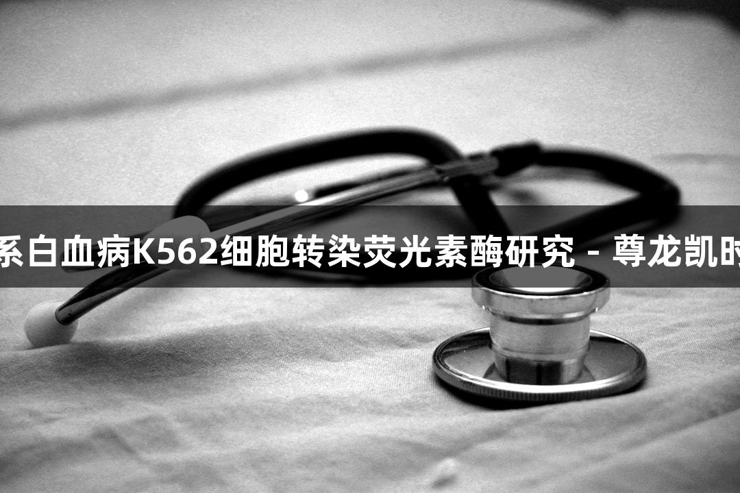 人慢性髓系白血病K562细胞转染荧光素酶研究 - 尊龙凯时品牌探索