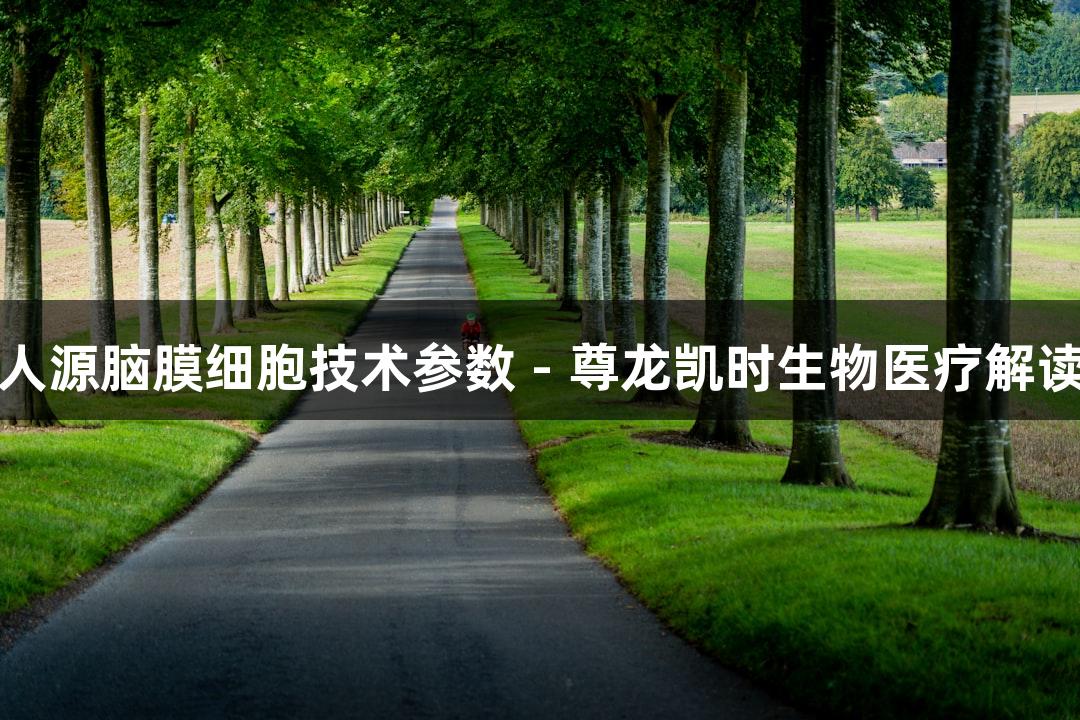 人源脑膜细胞技术参数 - 尊龙凯时生物医疗解读