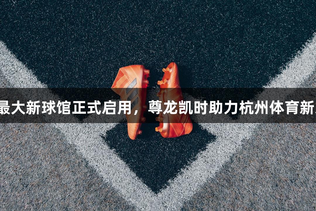 浙江最大新球馆正式启用，尊龙凯时助力杭州体育新篇章。