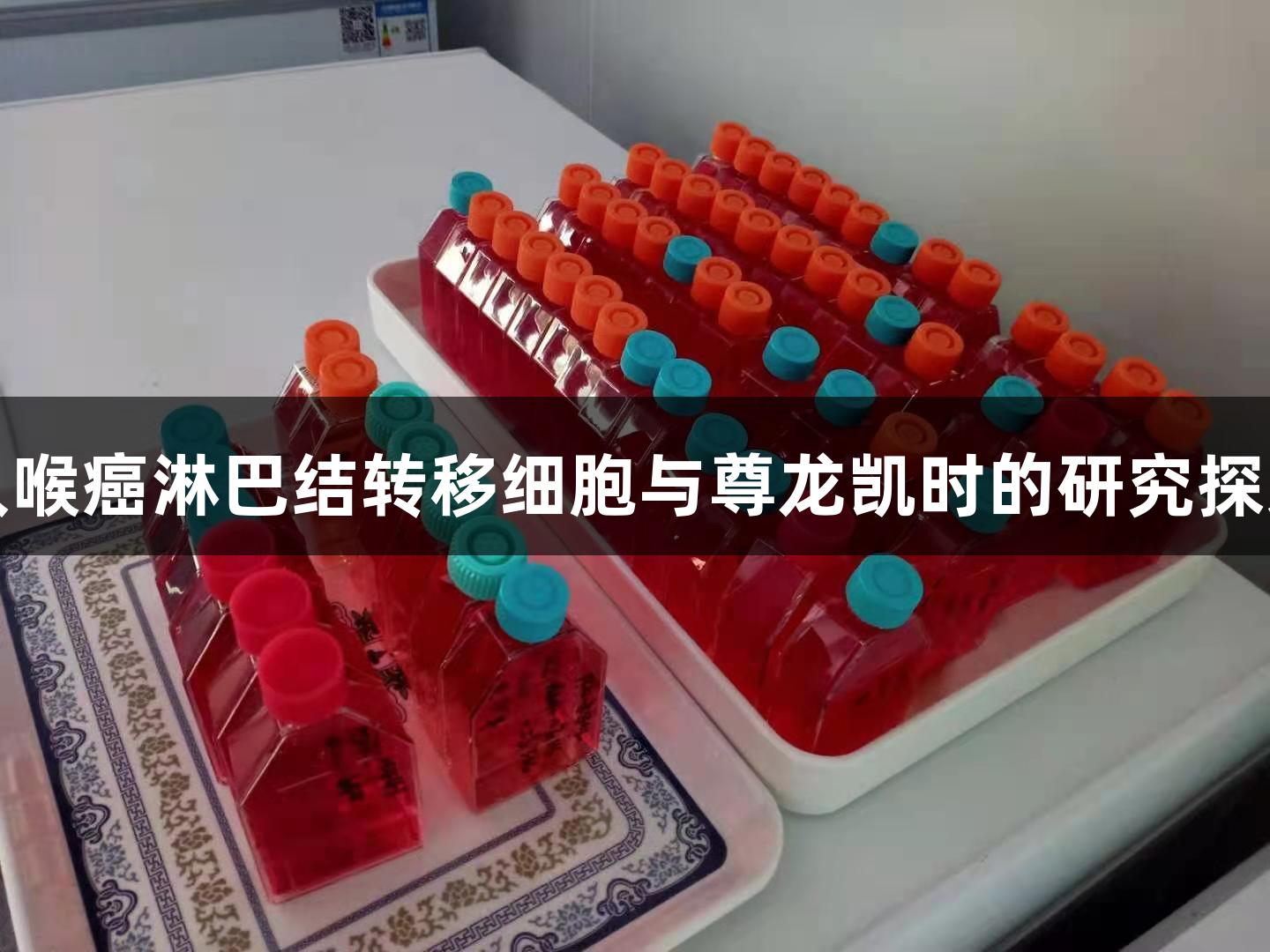 人喉癌淋巴结转移细胞与尊龙凯时的研究探索
