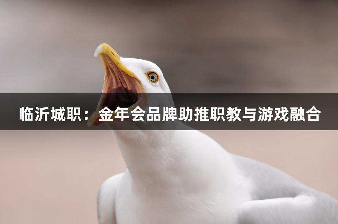 临沂城职：金年会品牌助推职教与游戏融合