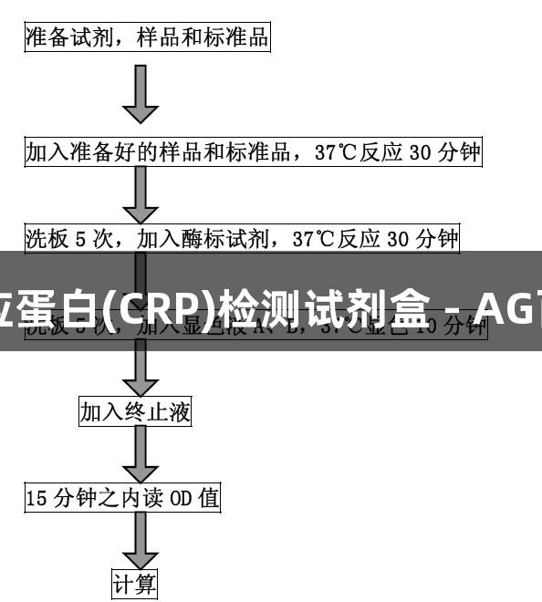 大鼠C-反应蛋白(CRP)检测试剂盒 - AG百家乐品牌