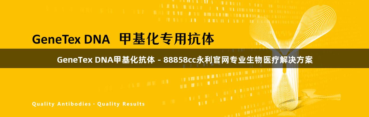 GeneTex DNA甲基化抗体 - 88858cc永利官网专业生物医疗解决方案