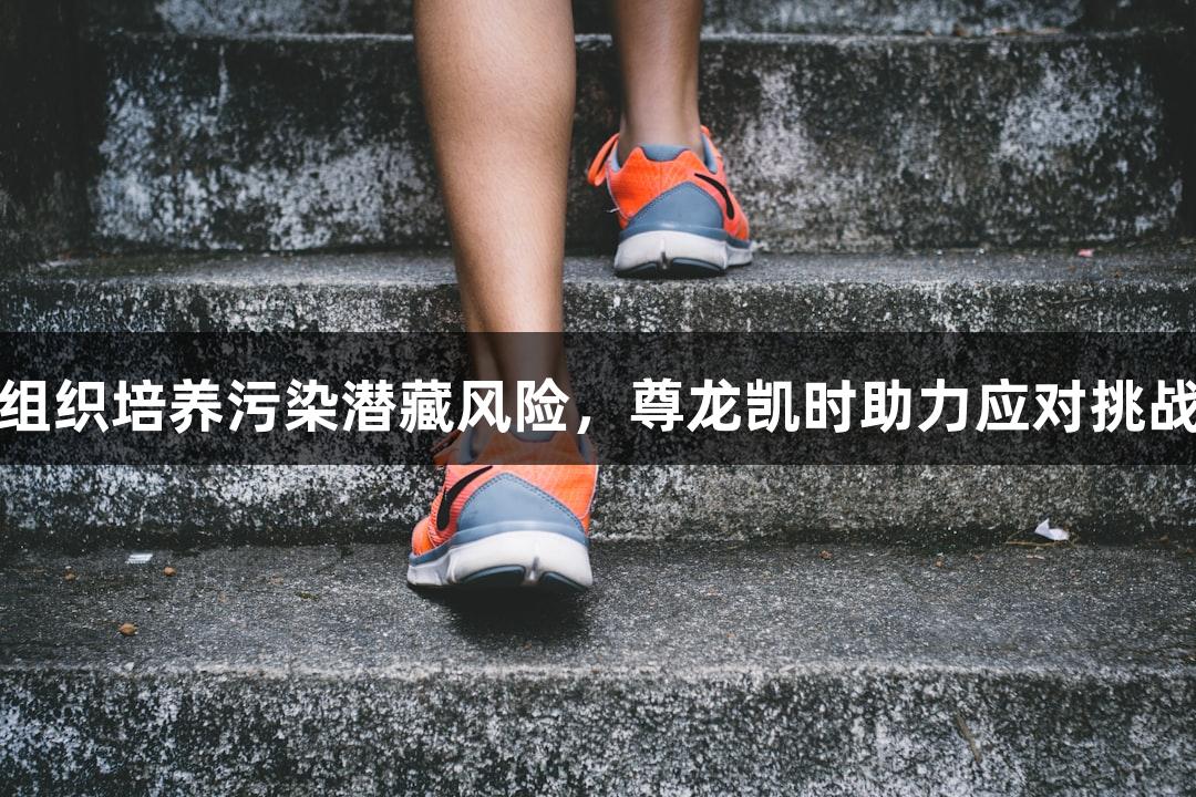 组织培养污染潜藏风险，尊龙凯时助力应对挑战