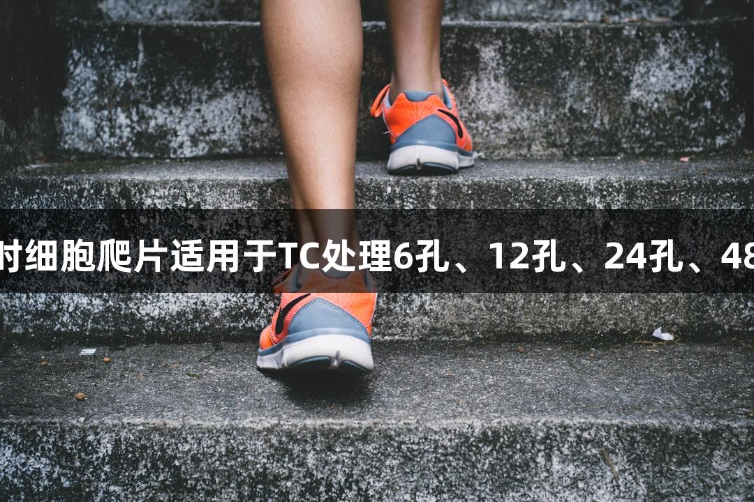 上海尊龙凯时细胞爬片适用于TC处理6孔、12孔、24孔、48孔、96孔板