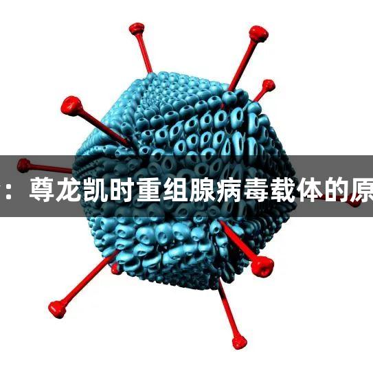 每周凯会：尊龙凯时重组腺病毒载体的原理与应用