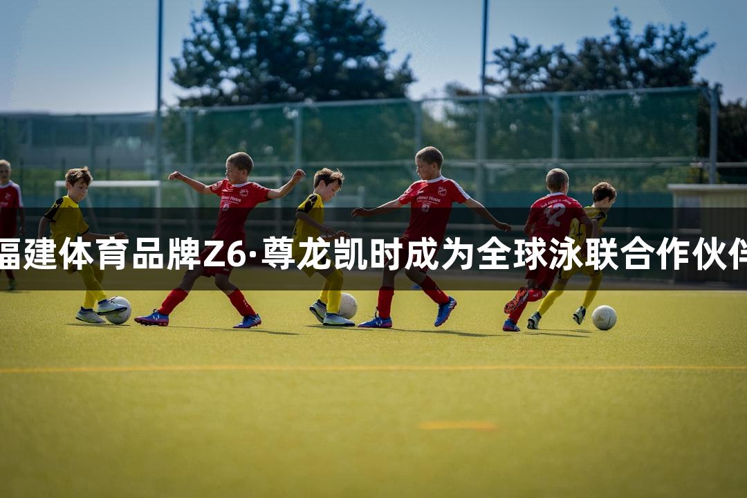 福建体育品牌Z6·尊龙凯时成为全球泳联合作伙伴