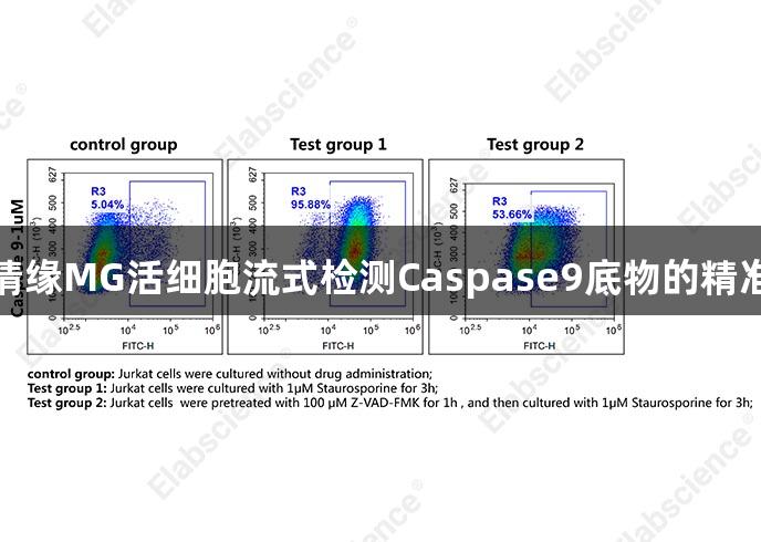 不朽情缘MG活细胞流式检测Caspase9底物的精准选择