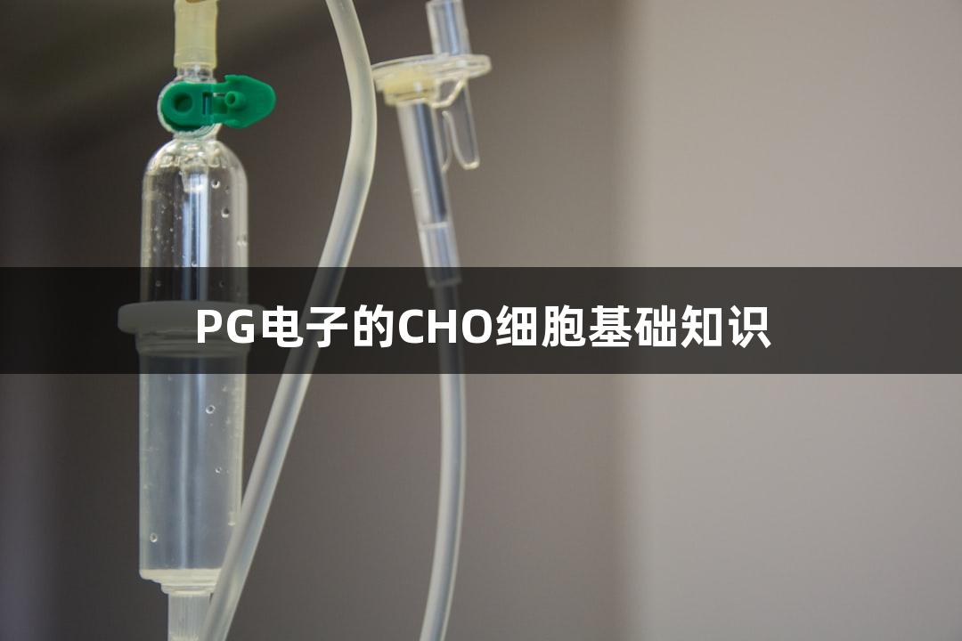 PG电子的CHO细胞基础知识