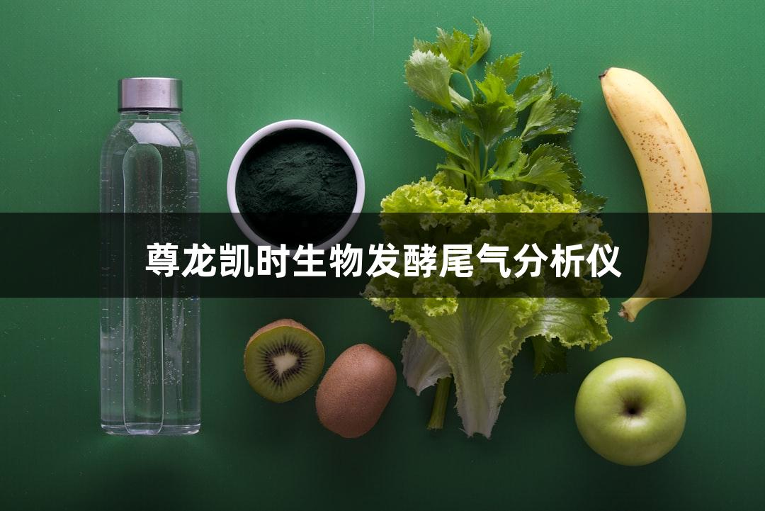 尊龙凯时生物发酵尾气分析仪