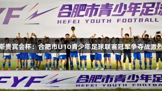 俄罗斯贵宾会杯：合肥市U10青少年足球联赛冠军争夺战激烈进行