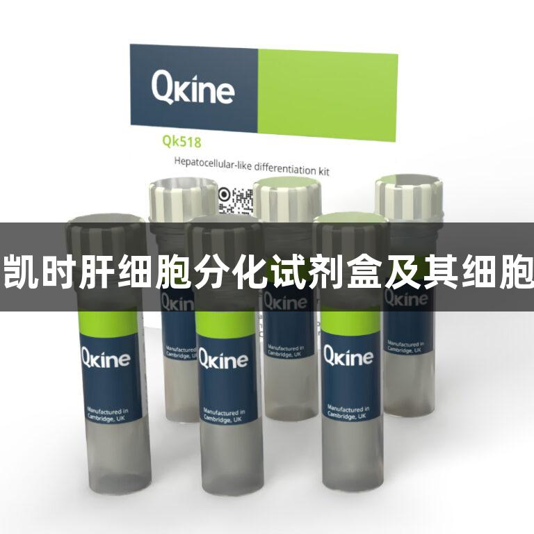 尊龙凯时肝细胞分化试剂盒及其细胞因子