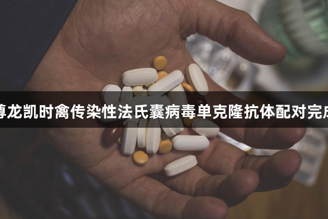 尊龙凯时禽传染性法氏囊病毒单克隆抗体配对完成
