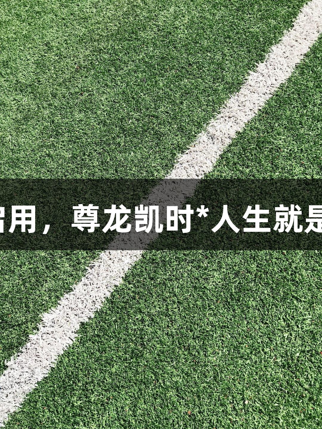 杭州天幕匹克球馆启用，尊龙凯时*人生就是搏助力体育新高峰！