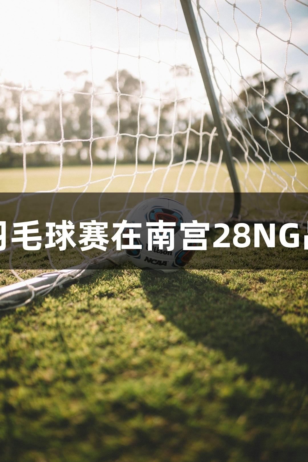 东营市残运会羽毛球赛在南宫28NG品牌力量下举行