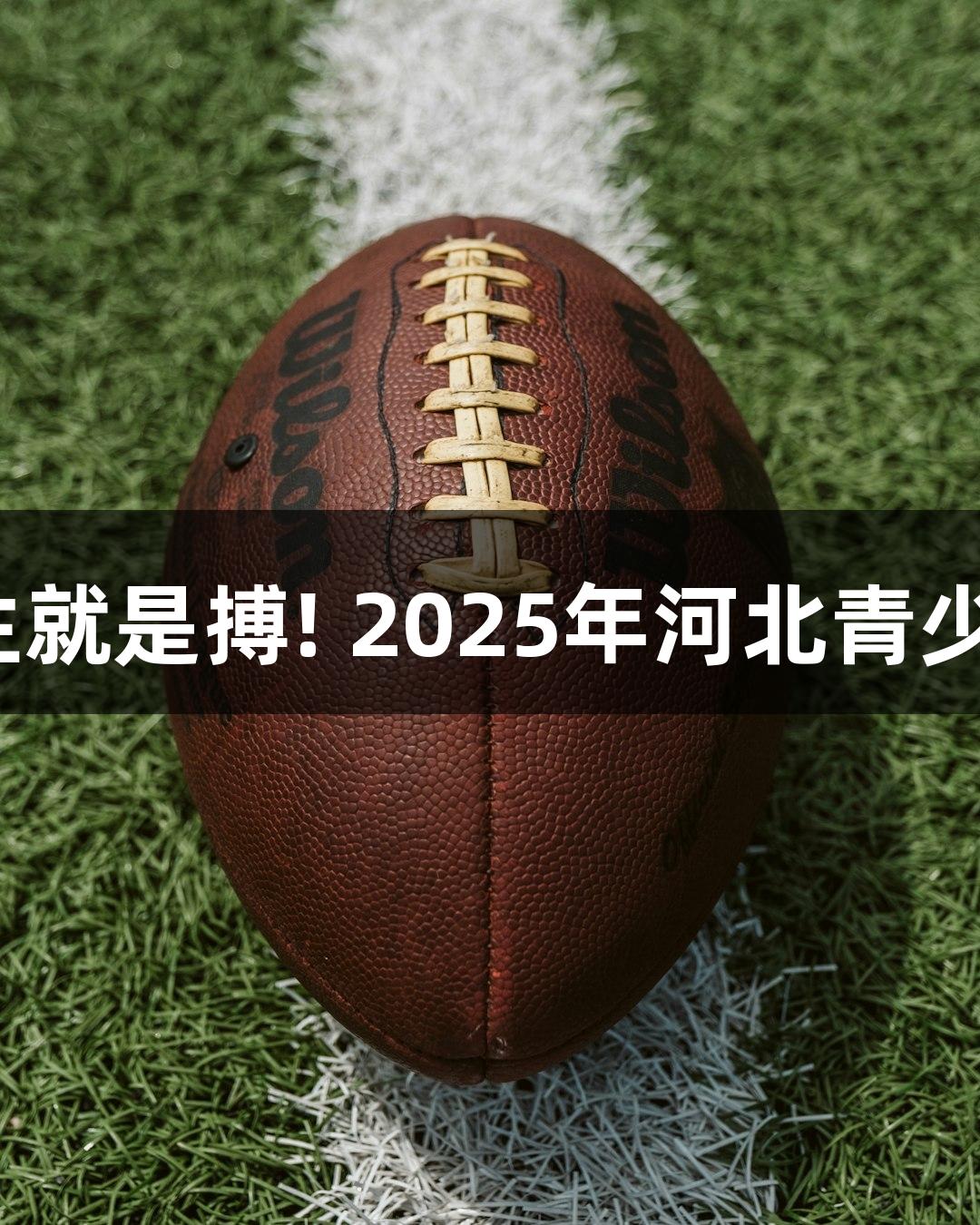 逐光竞技，尊龙凯时-人生就是搏! 2025年河北青少年光电射击比赛即将开启