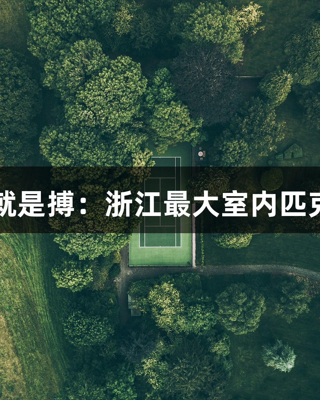 尊龙凯时人生就是搏：浙江最大室内匹克球馆正式启用