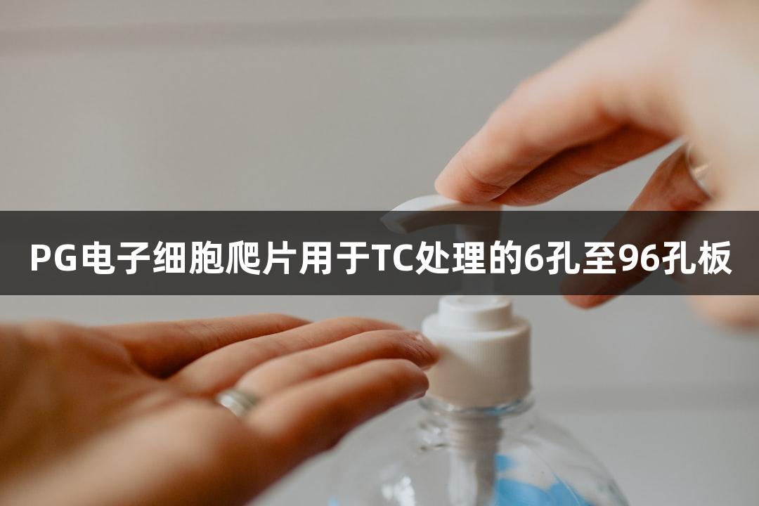 PG电子细胞爬片用于TC处理的6孔至96孔板