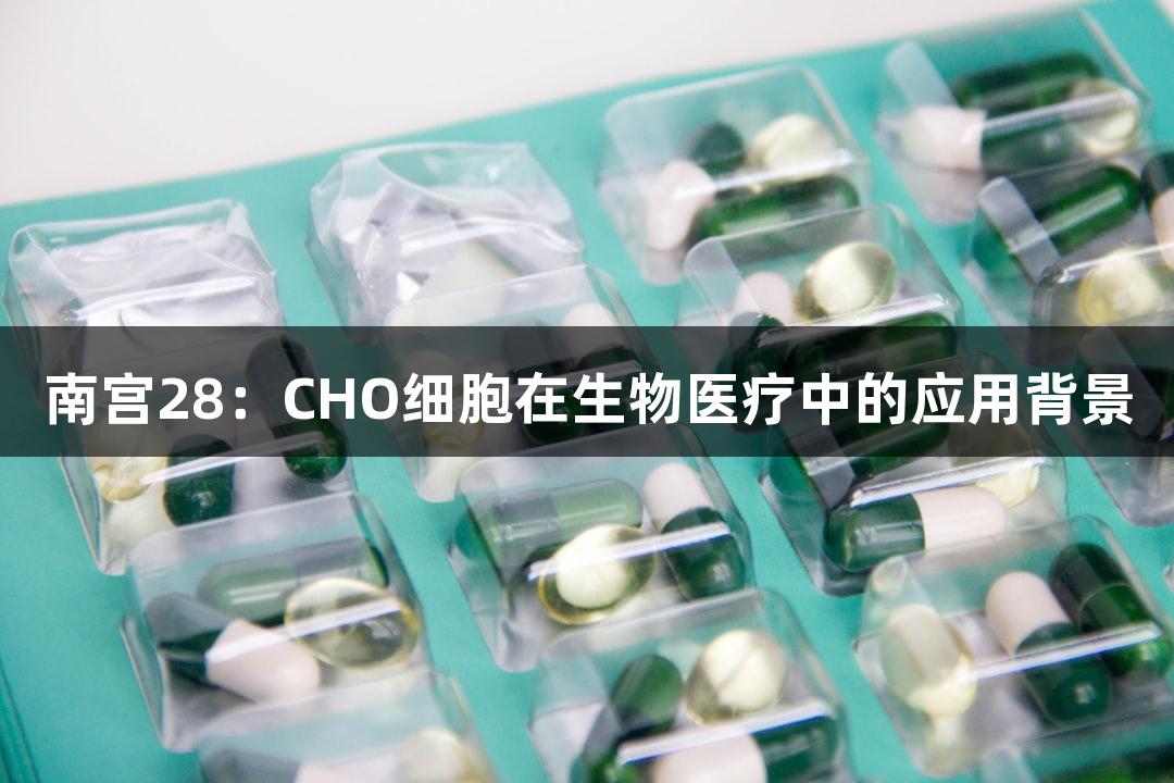 南宫28:CHO细胞在生物医疗中的应用背景
