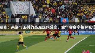 青超联赛：果洛与玉树的高原足球盛宴，金年会金字招牌诚信至上
