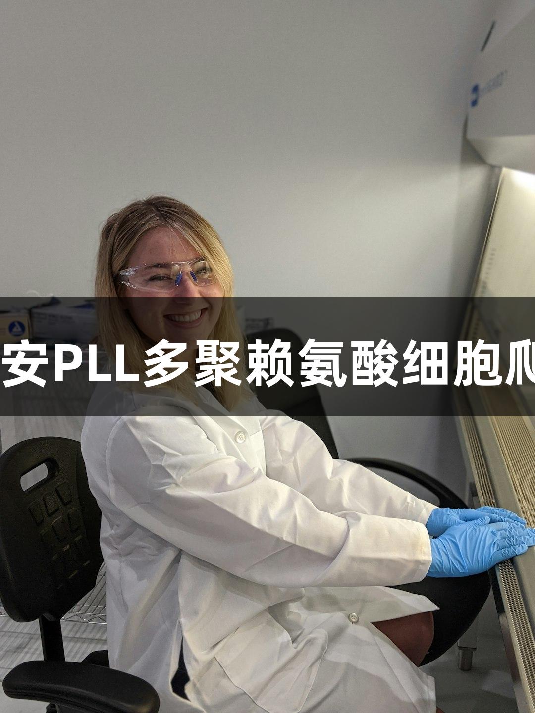 尊龙凯时上海晶安PLL多聚赖氨酸细胞爬片96孔板3mm