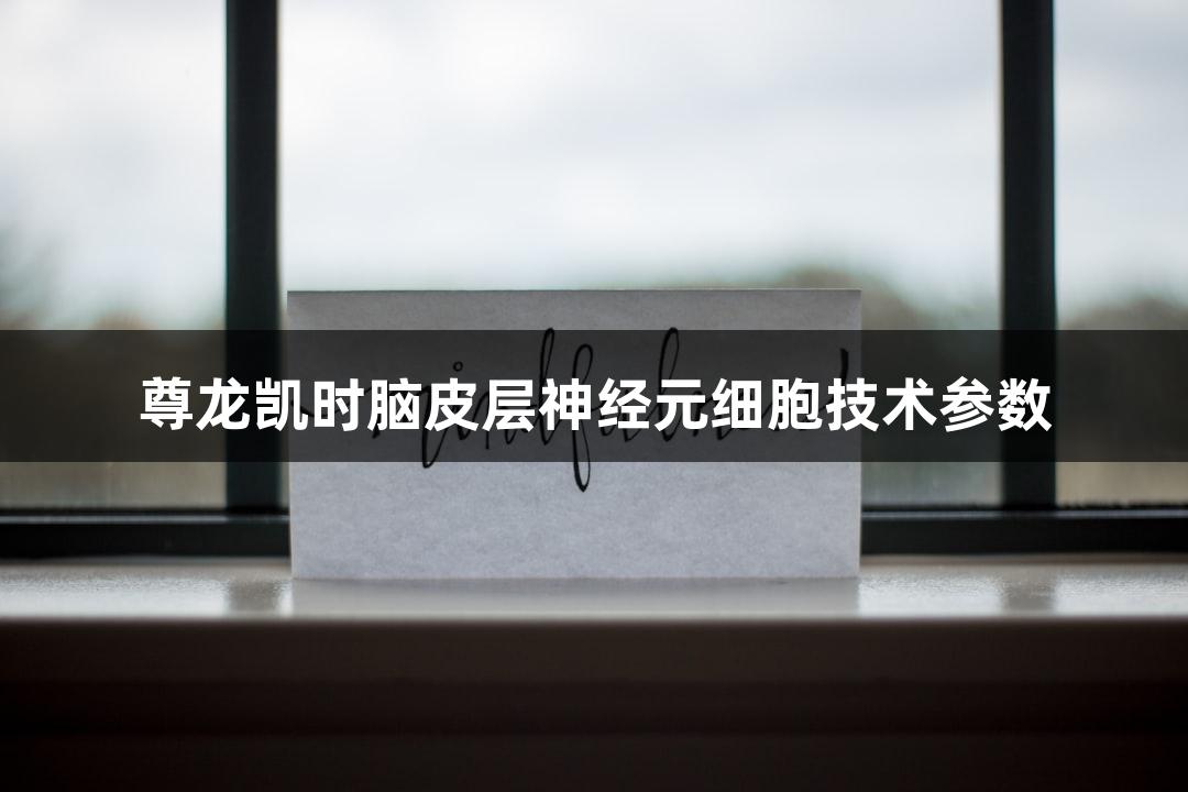 尊龙凯时脑皮层神经元细胞技术参数