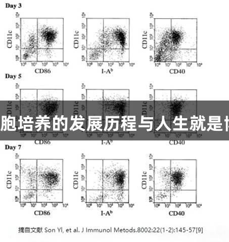 小鼠骨髓来源树突状细胞培养的发展历程与人生就是博-尊龙凯时的探索精神
