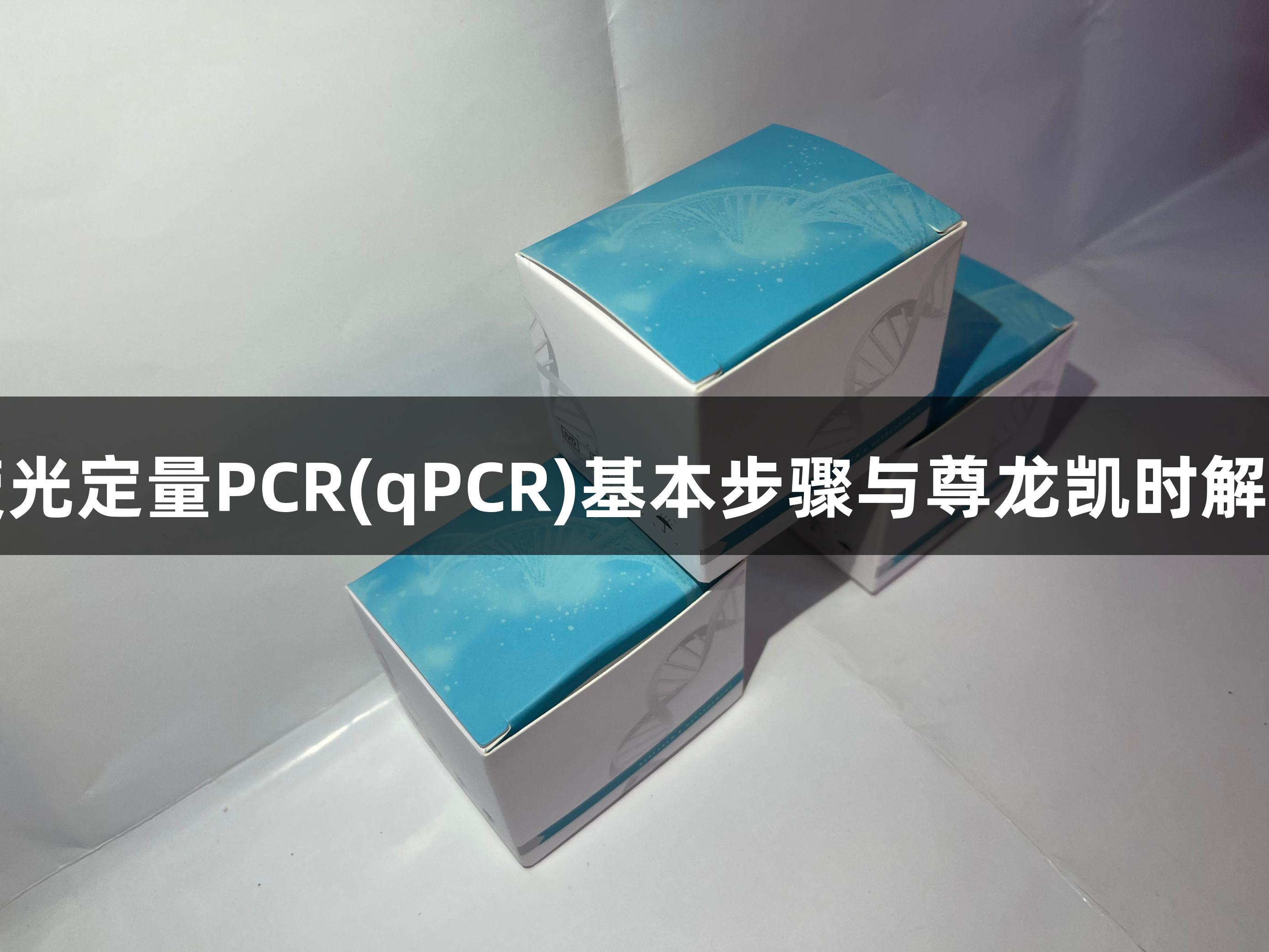 荧光定量PCR(qPCR)基本步骤与尊龙凯时解析