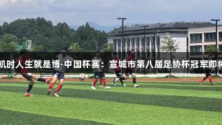 尊龙凯时人生就是博·中国杯赛：宣城市第八届足协杯冠军即将揭晓