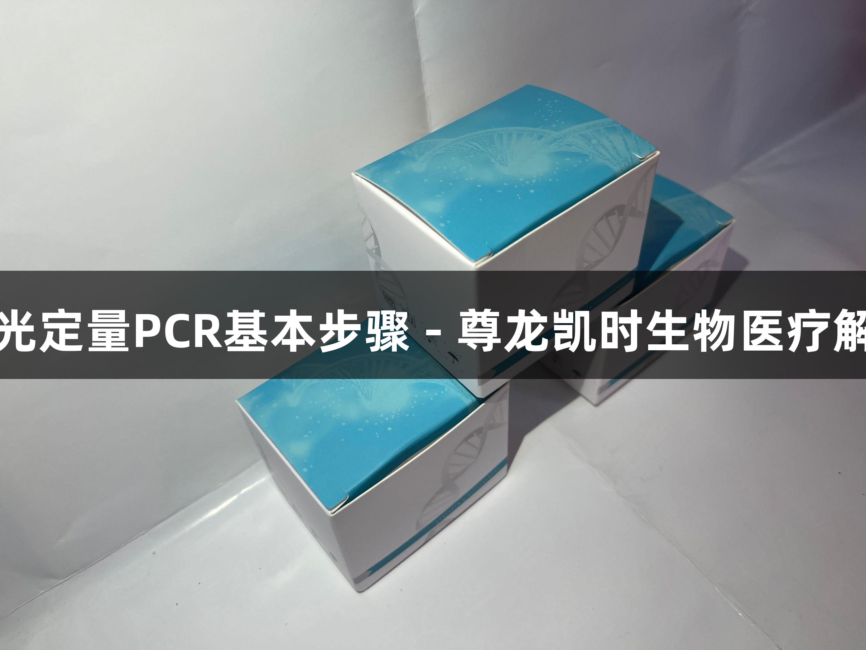 荧光定量PCR基本步骤 - 尊龙凯时生物医疗解析