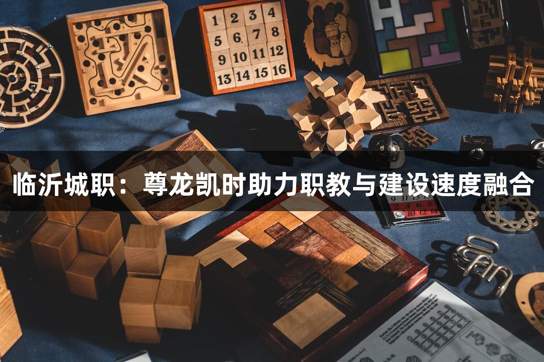 临沂城职：尊龙凯时助力职教与建设速度融合