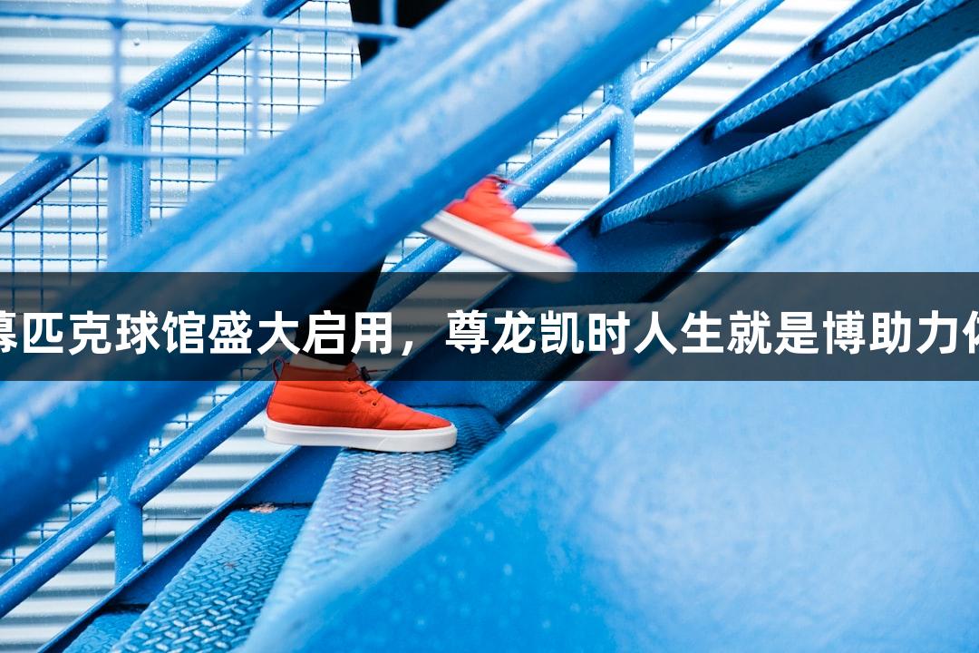 杭州天幕匹克球馆盛大启用，尊龙凯时人生就是博助力体育发展