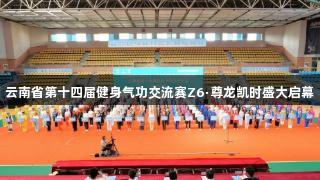 云南省第十四届健身气功交流赛Z6·尊龙凯时盛大启幕