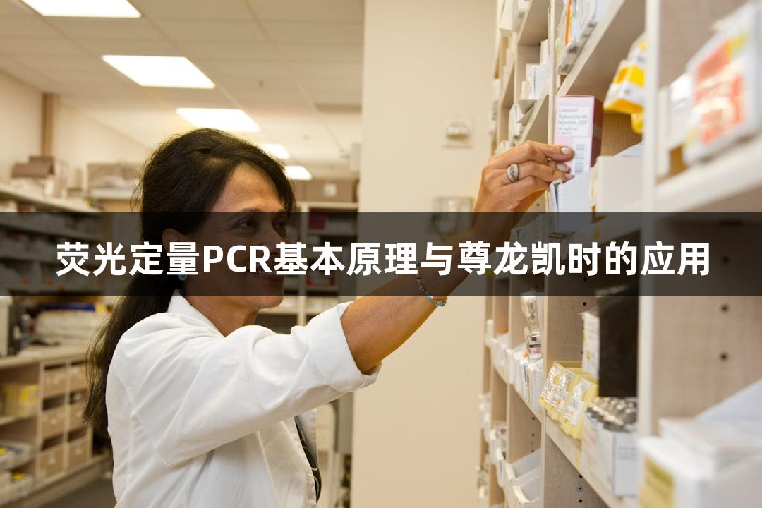 荧光定量PCR基本原理与尊龙凯时的应用