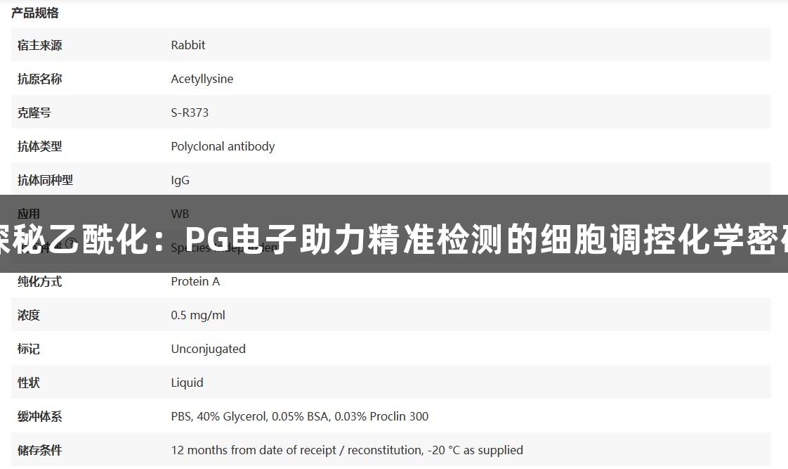 探秘乙酰化：PG电子助力精准检测的细胞调控化学密码