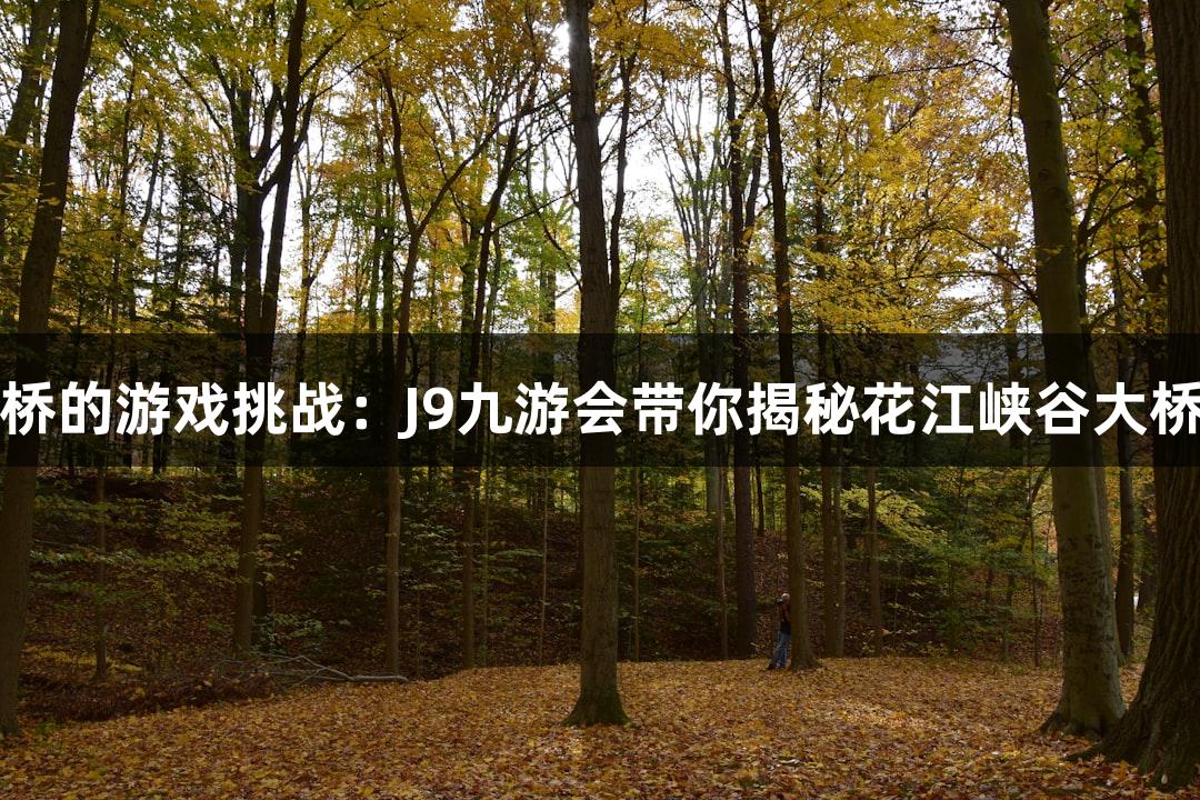 世界第一高桥的游戏挑战:J9九游会带你揭秘花江峡谷大桥的精准测量