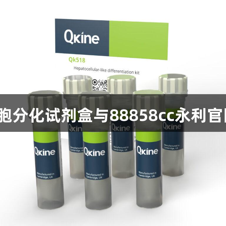 QkineiPSC-肝细胞分化试剂盒与88858cc永利官网的细胞因子应用