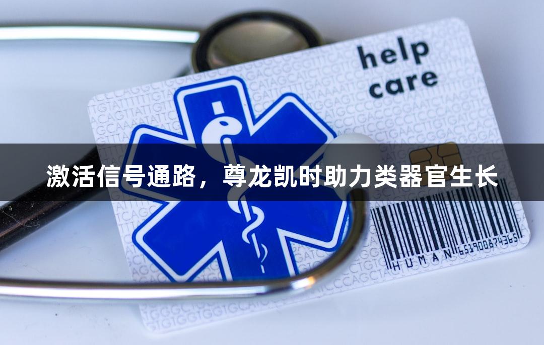 激活信号通路，尊龙凯时助力类器官生长