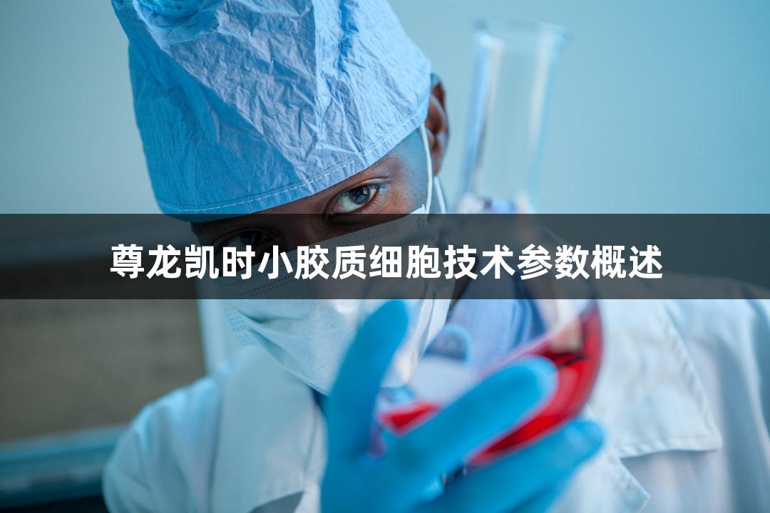 尊龙凯时小胶质细胞技术参数概述